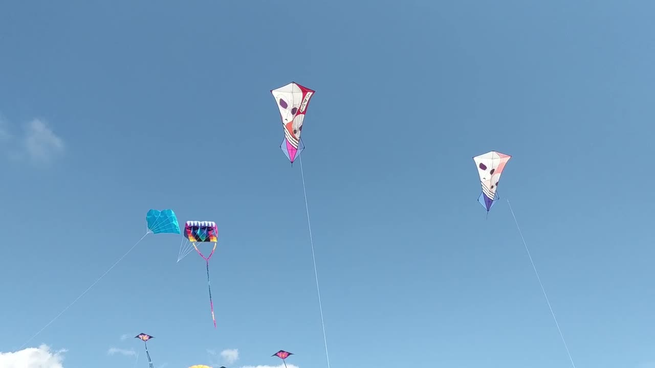 festival de cometas en huntington beach, california. 3-9-19