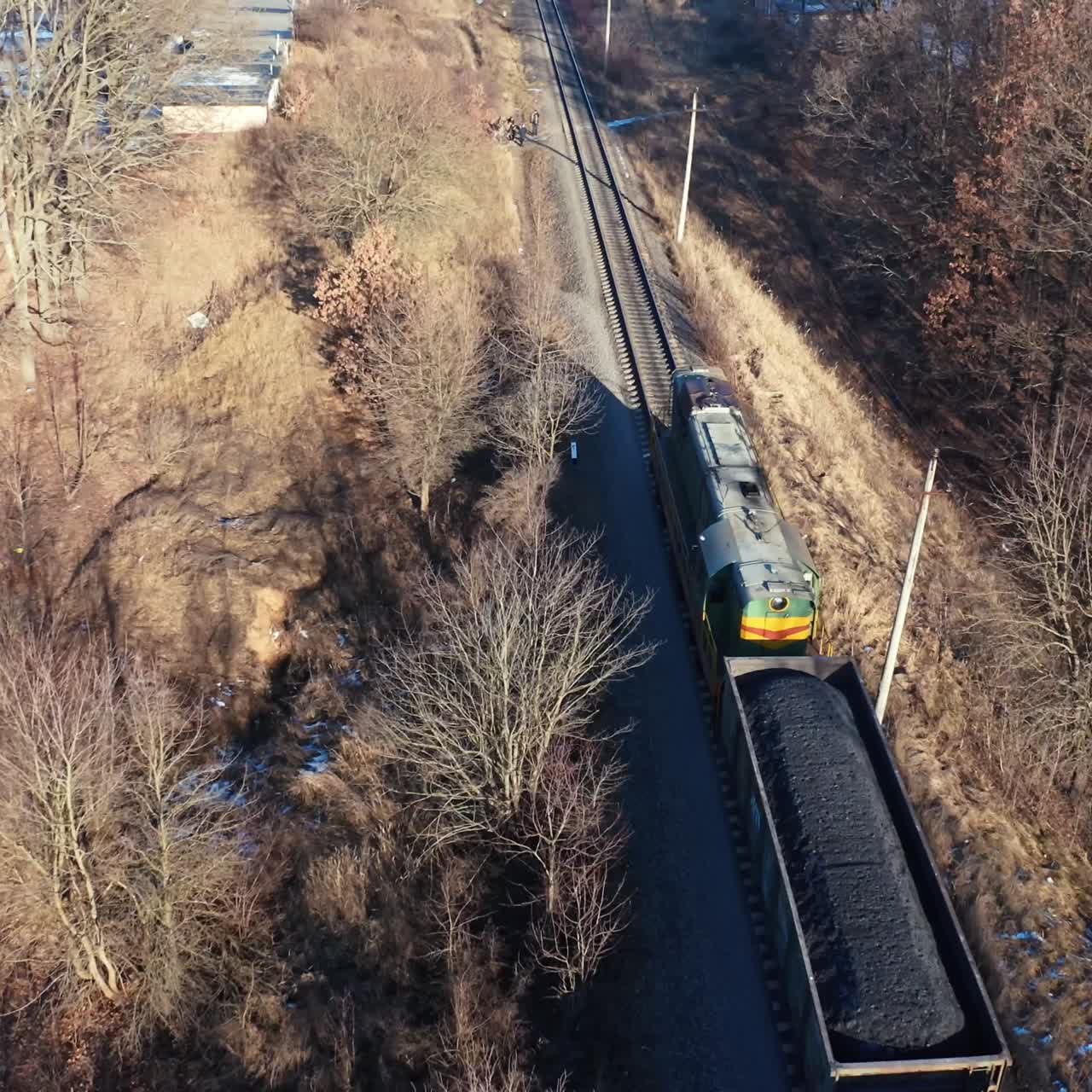 Aerial view of the forest in winter