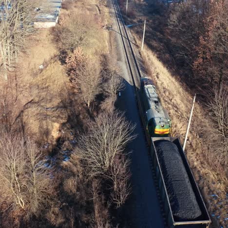 aerial view of the forest in winter
