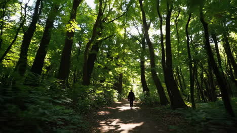 person walking through lush forest