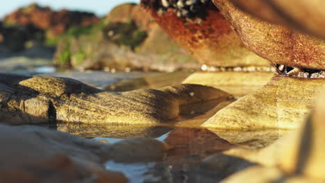 Ruhiger-Bach,-Der-Durch-Sanfte-Erosion-Im-Felsenbecken-Am-Strand-Fließt