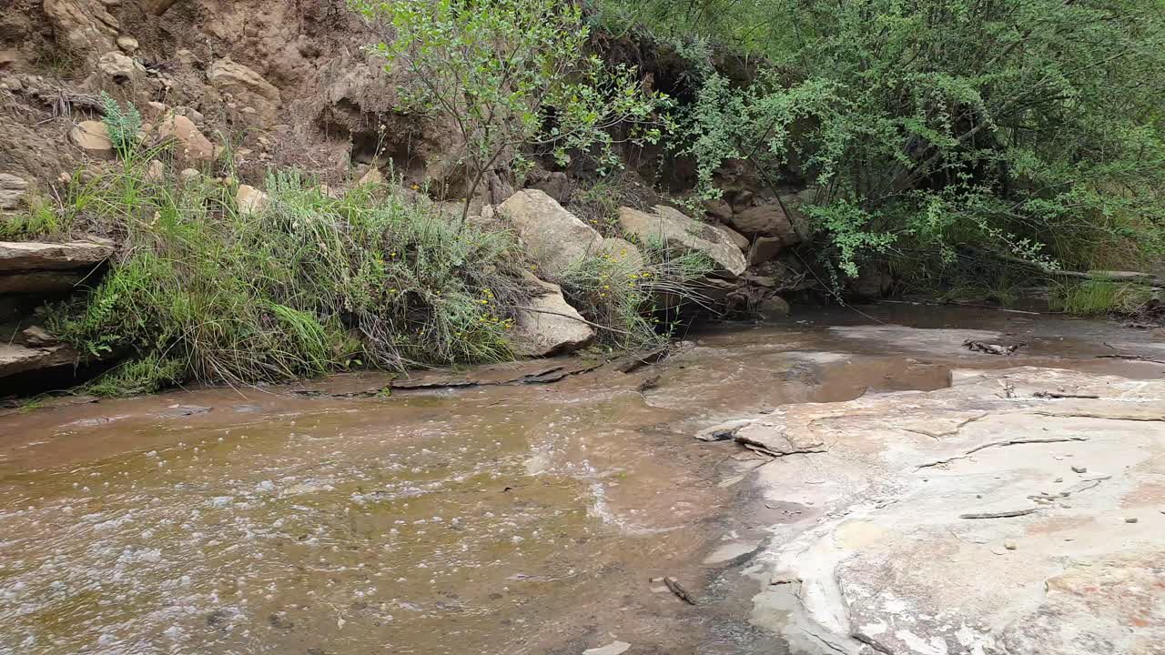 arroyo de agua de manantial de montaña corriendo por enormes losas de piedra arenisca de roca con musgo verde, algas y plantas verdes - agua potable cristalina, meditación tranquila y pacífica naturaleza al aire libre