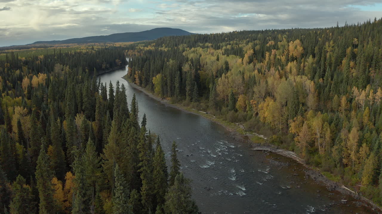 Henkeäsalpaavaa ilmakuvaa joesta, joka virtaa metsäisen maiseman läpi, auringonlasku, Kanada.