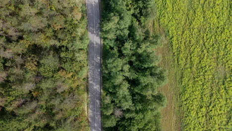 volando sobre una carretera desierta con árboles a un lado y tierras de cultivo al otro lado