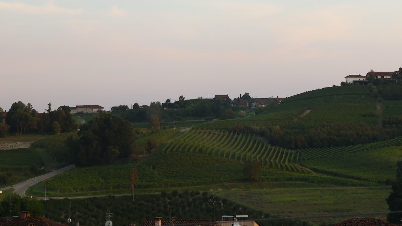 Rigogliosi vigneti e dolci colline in Piemonte