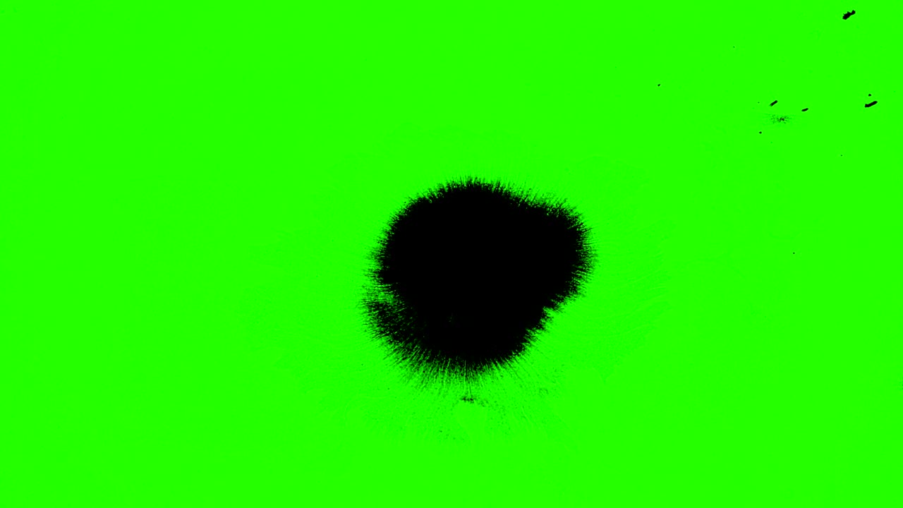 pennello astratto forma del tratto di pennello inchiostro nero spruzzamento scorrente e lavaggio su croma chiave sfondo schermo verde, spruzzamento di inchiosto artistico