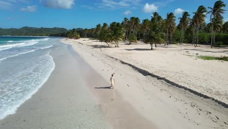 woman walks on one of the most beautiful beaches on earth - playa rincon in the dominican republic