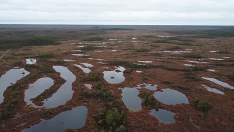 alta vista aérea de drones de un pantano en otoño