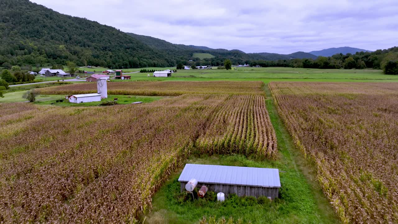 애팔래치아 주 테네시의 마운틴 시티 근처에 있는 옥수수  위에서 급격한 공중 철수
