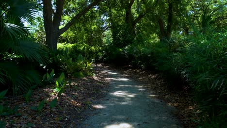 Feldweg-In-Einem-Der-örtlichen-Parks-In-South-Carolina