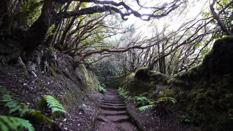 depths of anaga tenerife in the canary islands gimbal shot