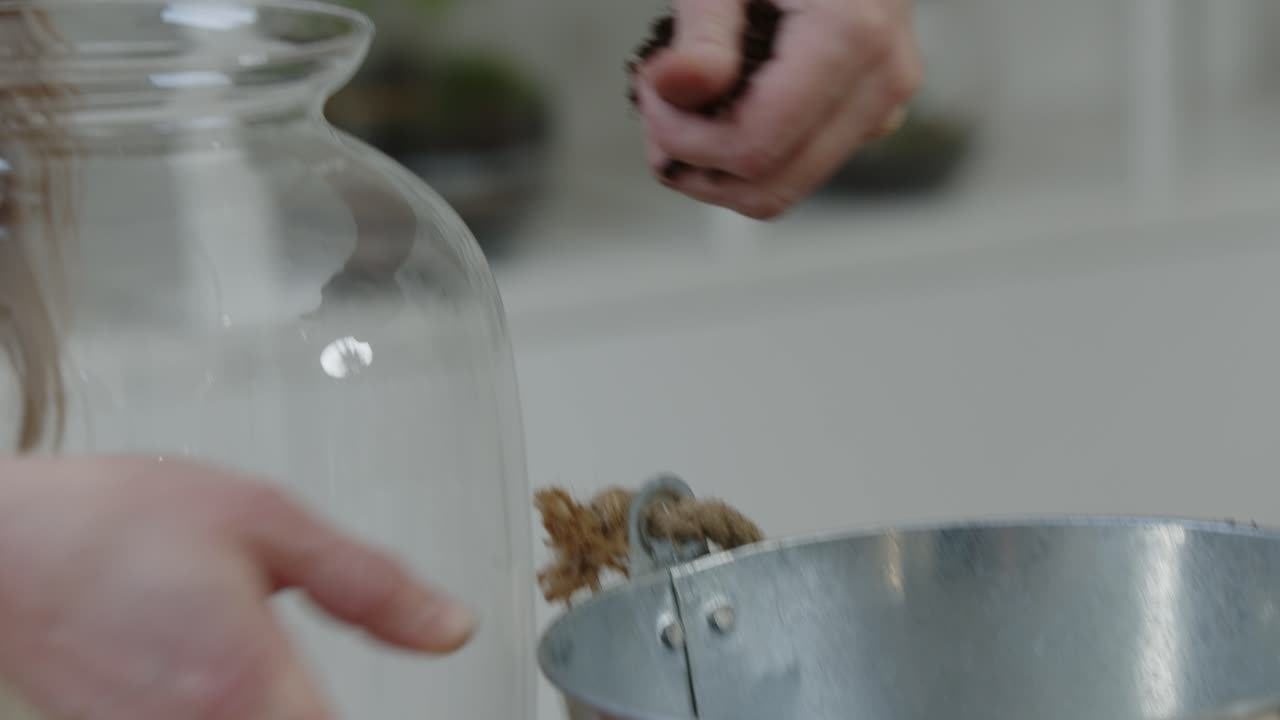 한 젊은 여성이 유리 테라리움에 작은 생태계를 만듭니다 - 토양층 준비 - 자연 보호 개념 - 중간 샷