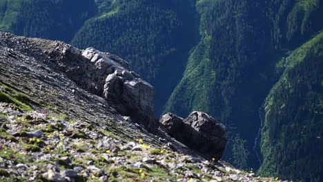 view from a summit in the lechtaler alpen, tirol, austria