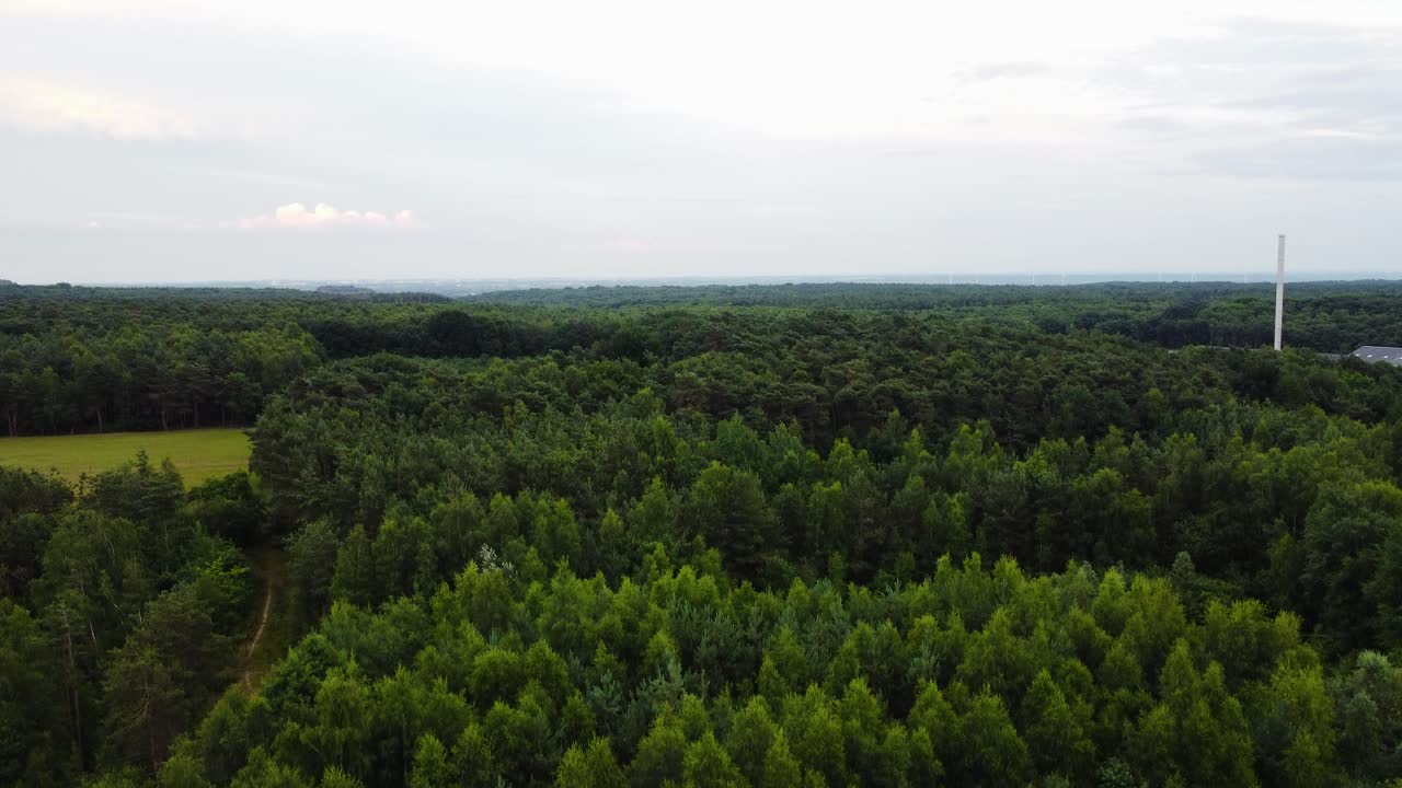 paisaje de bosque sin fin y fábrica en el lado, vista aérea