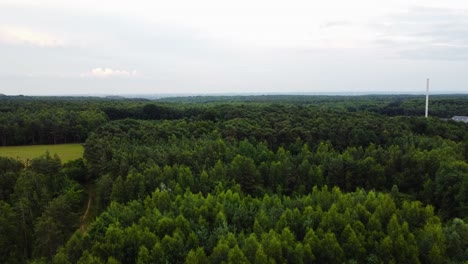 endless woodland landscape and factory on side, aerial view