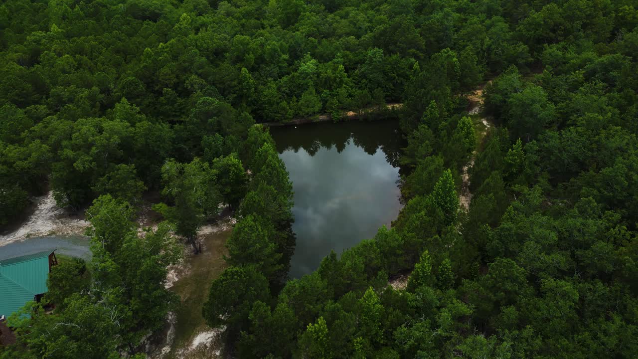 Aerial Shot of Pond with Trees