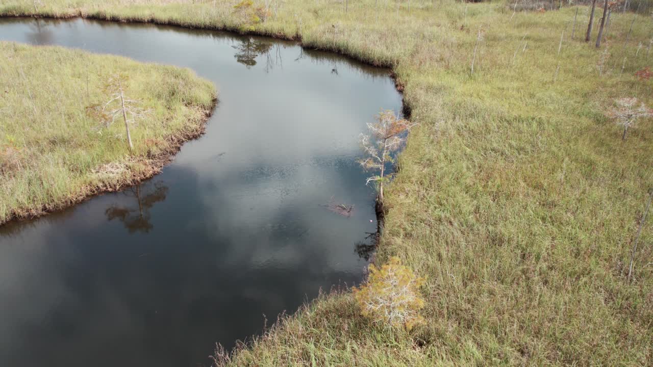 Aerial flight over a creek winding through thick grasses in a Florida marshland