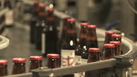 bottles zip along a conveyor belt in a bottling plant 11