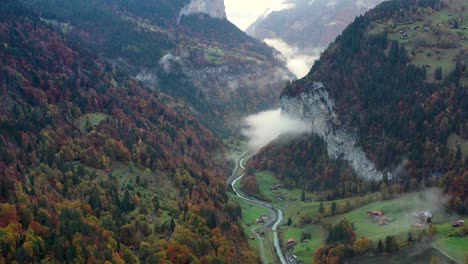 forest in fall season with mountains on the background