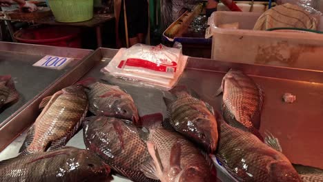 fresh fish on ice at a busy market stall