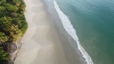 Picturesque-scenery-of-sandy-beach-with-tropical-trees-and-sea