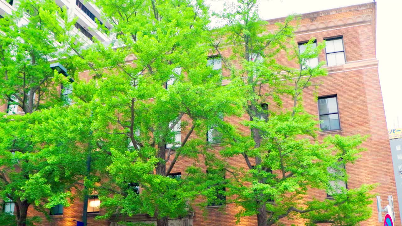 요코하마 최고의 전망