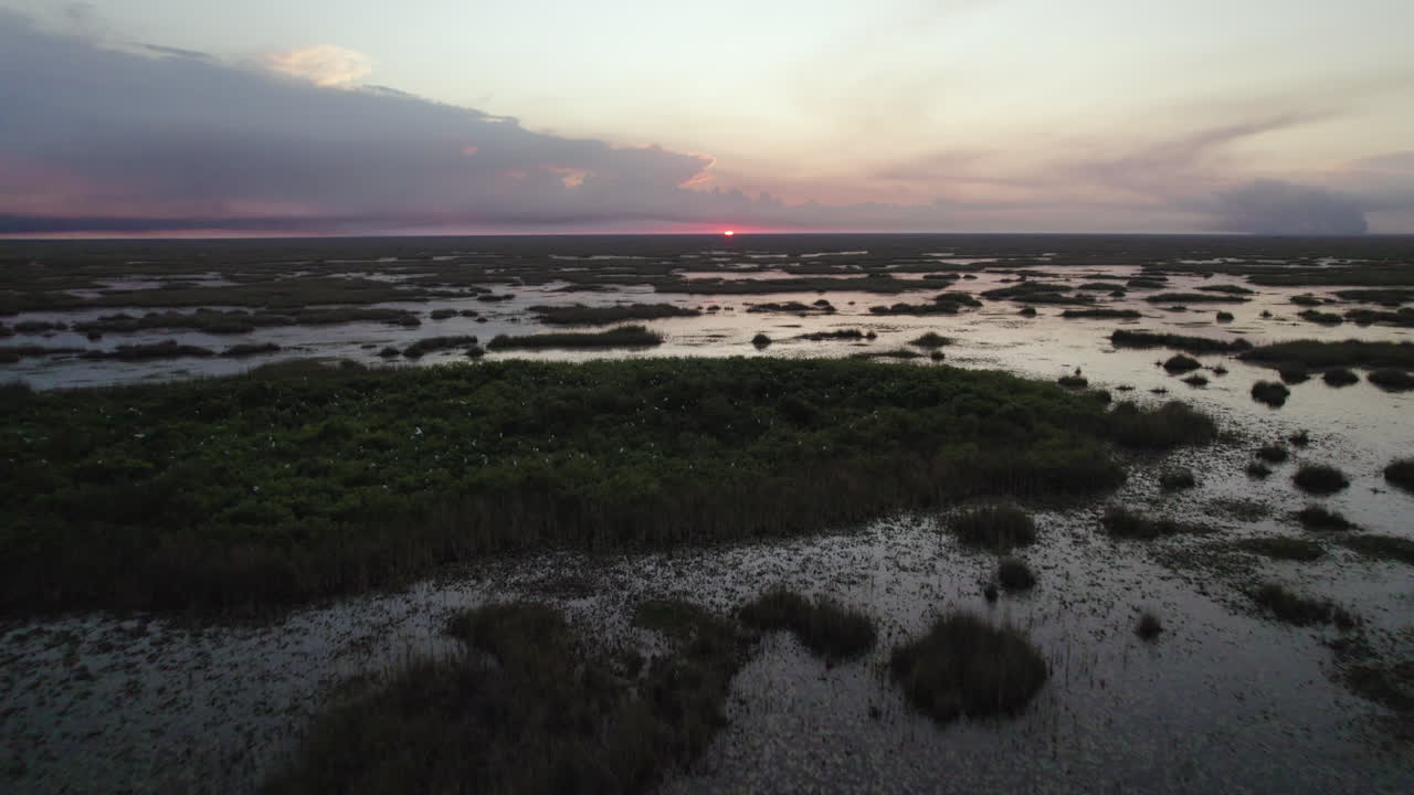 Everglades Wetland Slough Marsh Sawgrass Sunset Rookery Aerial 2