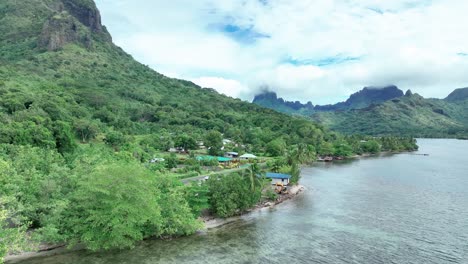 opunohu bay and village in green french polynesian island of moorea in tahiti