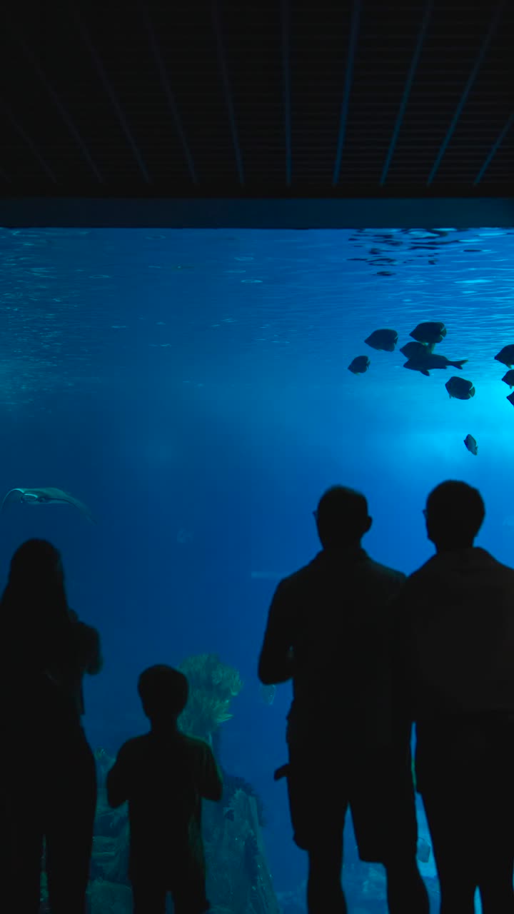 Visitors observing marine life in a large aquarium tank