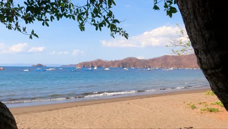 tropical sandy beach with an old tree, small waves on a sunny day, coco beach in guanacaste, costa rica