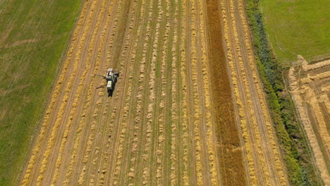 Aerial-dolly-forward-over-tractor-mowing-rows-of-hay-in-agricultural-farm-field