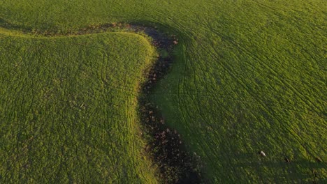 aerial view of the river and landscape