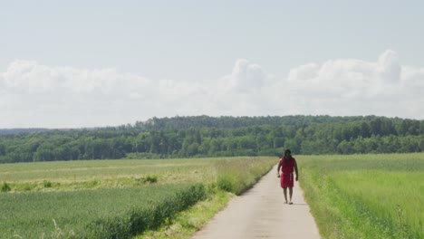 Samson-walking-from-distance-into-mid-screen-along-old-road-in-green-pastures,-Biblical-character-with-long-dreads,-Israelite-warrior-and-judge,-black-male-in-old-testament,-Christian