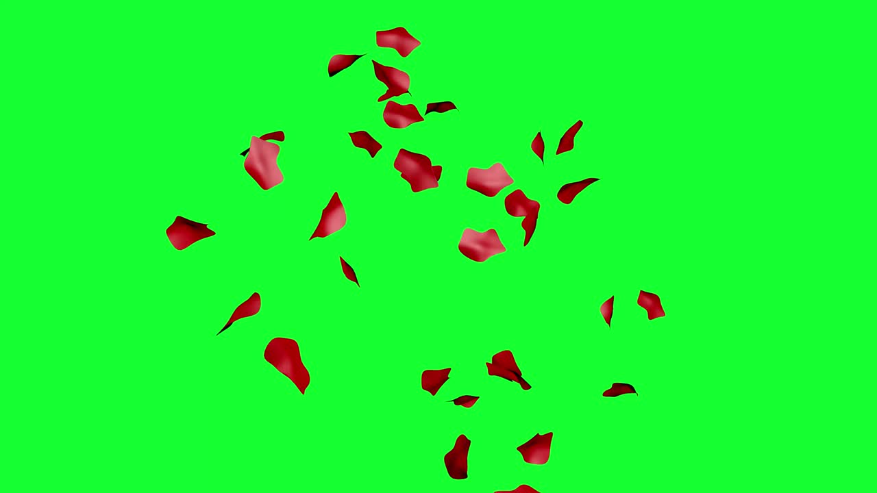 녹색 화면에서 장미 잎자루 그룹 애니메이션 크로마 키, 그래픽 소스 디자인 요소
