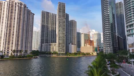 palm trees on miami riverwalk