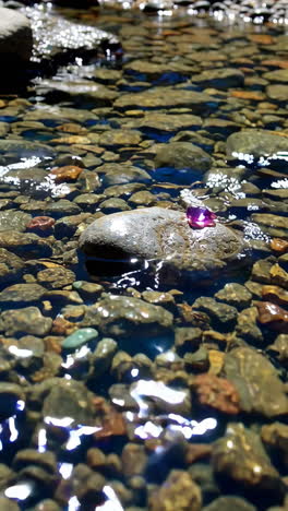 purple gemstone in a shallow stream