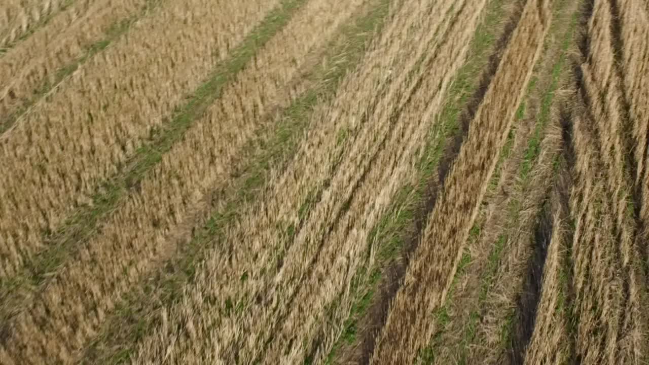 vista aérea del campo cosechado