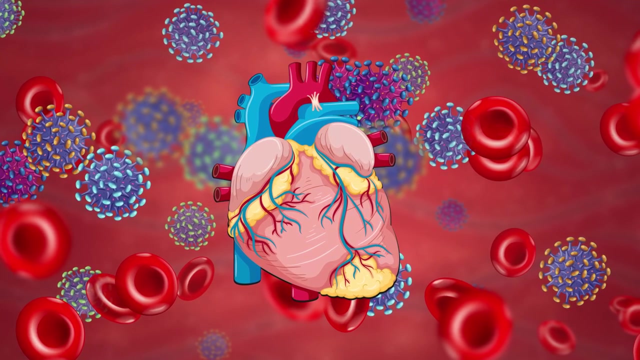 Un cuore umano anatomico pulsa mentre cellule del sangue e particelle virali fluttuano orizzontalmente