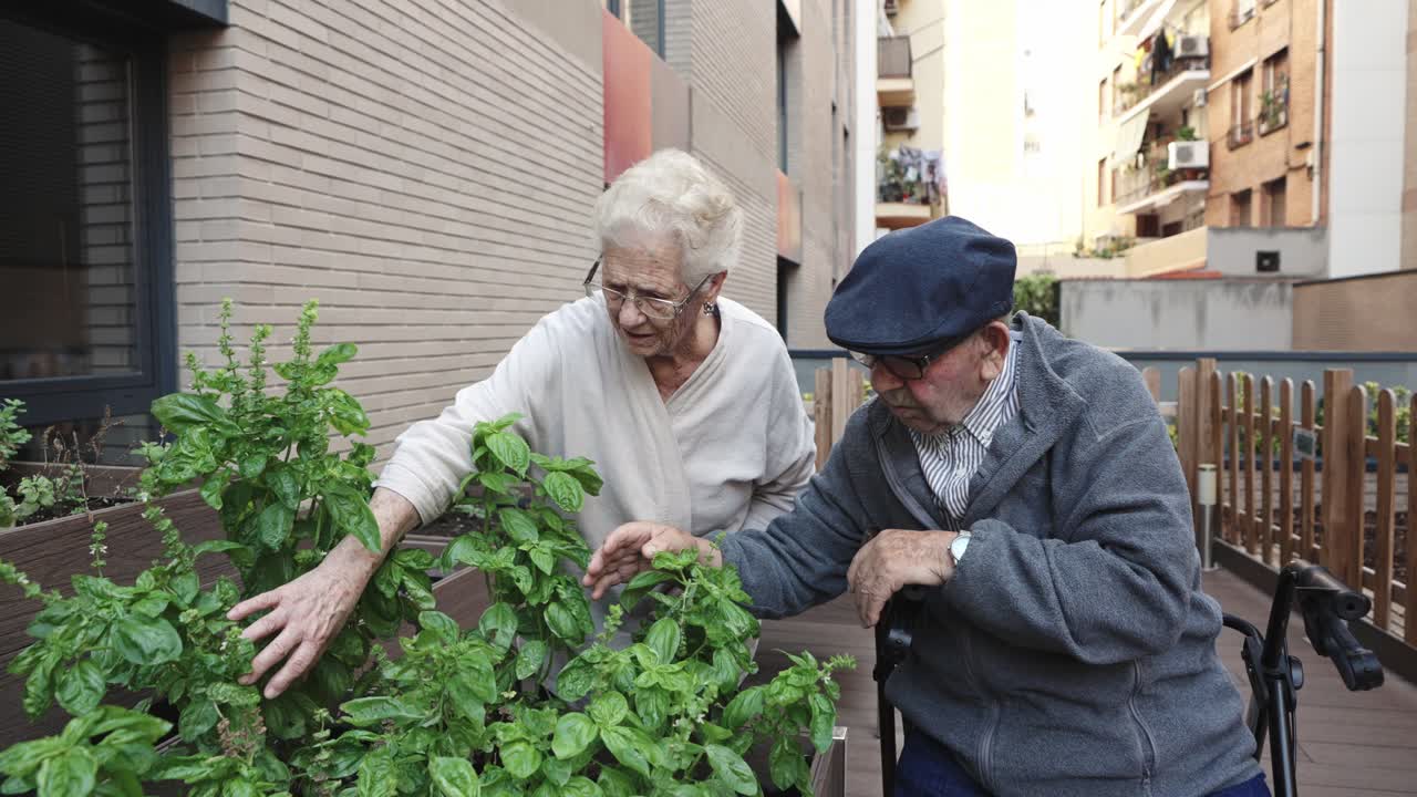 Elderly couple gardening in an urban garden