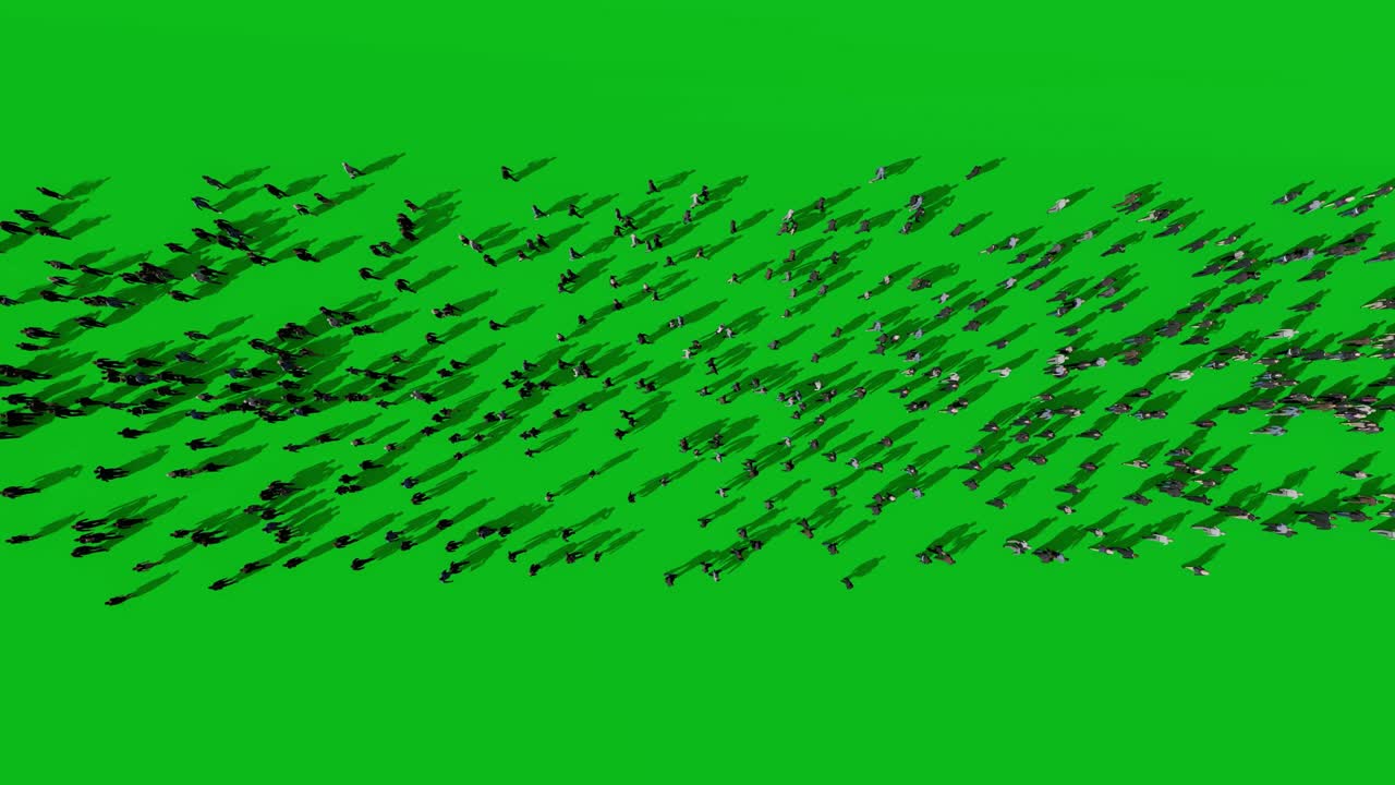 다채롭고 다문화적인 사업가들이 일하러 출퇴근합니다. 위쪽은 4k, 초록색 화면.