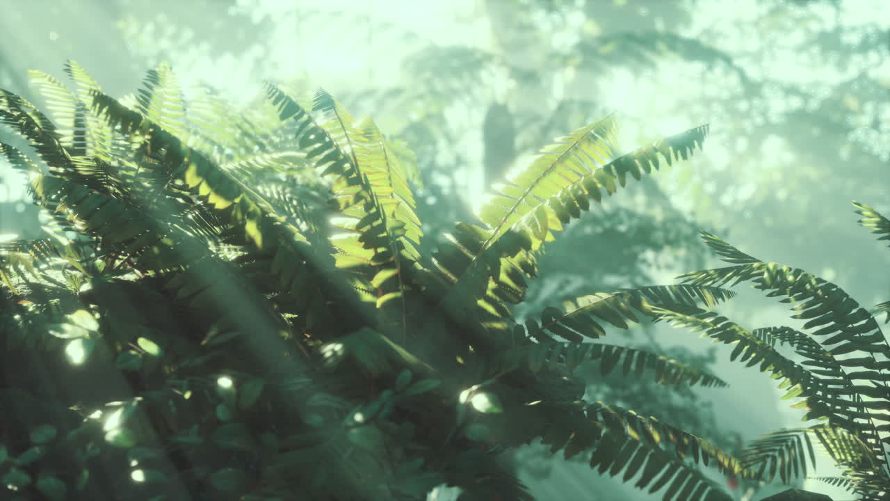 jungla brumosa en las montañas de chiang dao