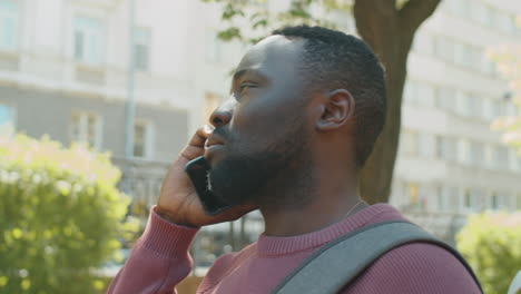 young african american man standing in park and talking on phone