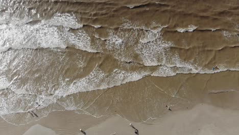 Top-down-view-of-the-shore-with-25%-of-the-beach-visible,-waves-crashing,-people-swimming