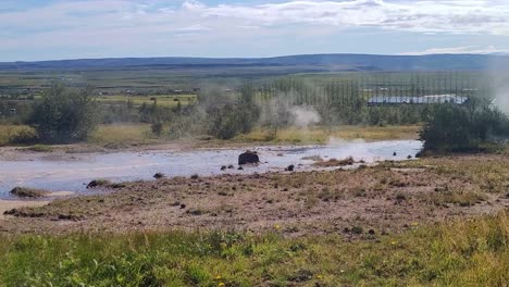 smoking geysers area in iceland