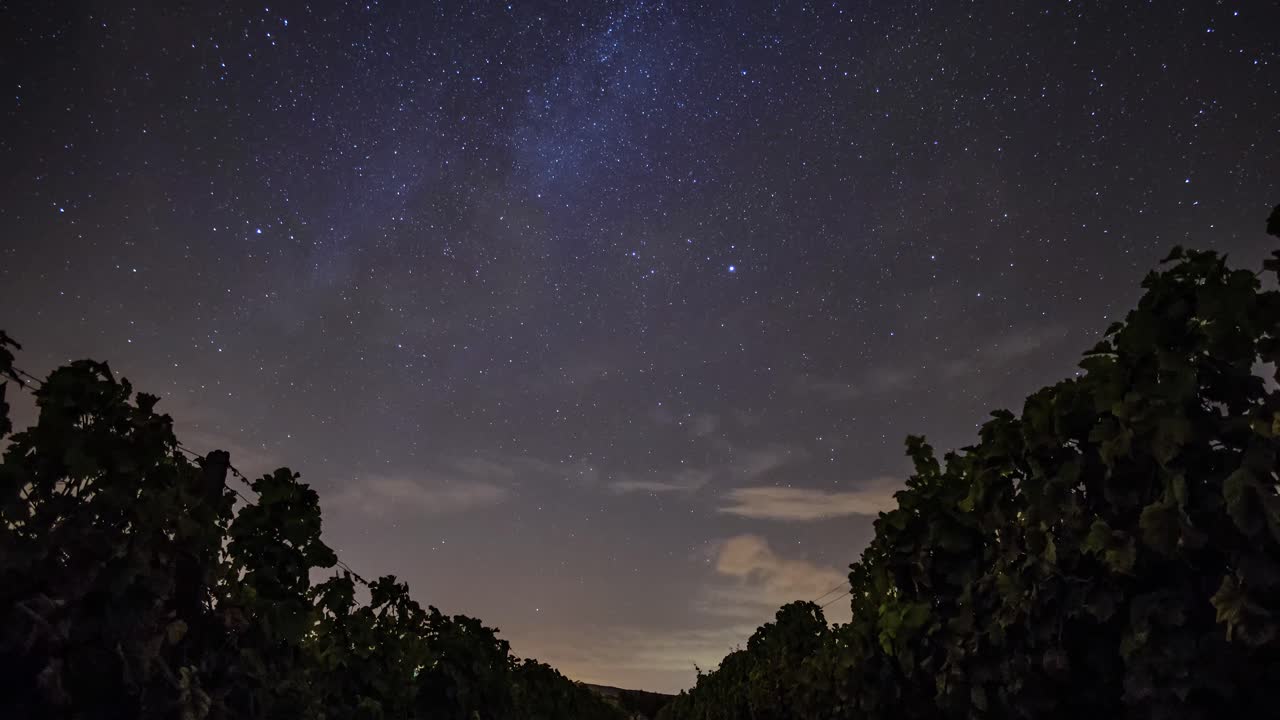 Timelapse of Milky way on a Vineyard in Douro