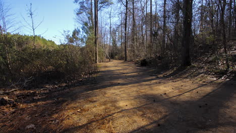 Forest-timelapse-with-the-shadows-from-trees-moving-across-a-path