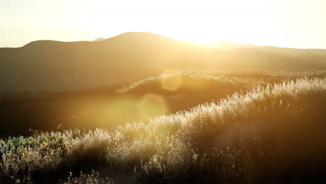 sunset over the valley fields