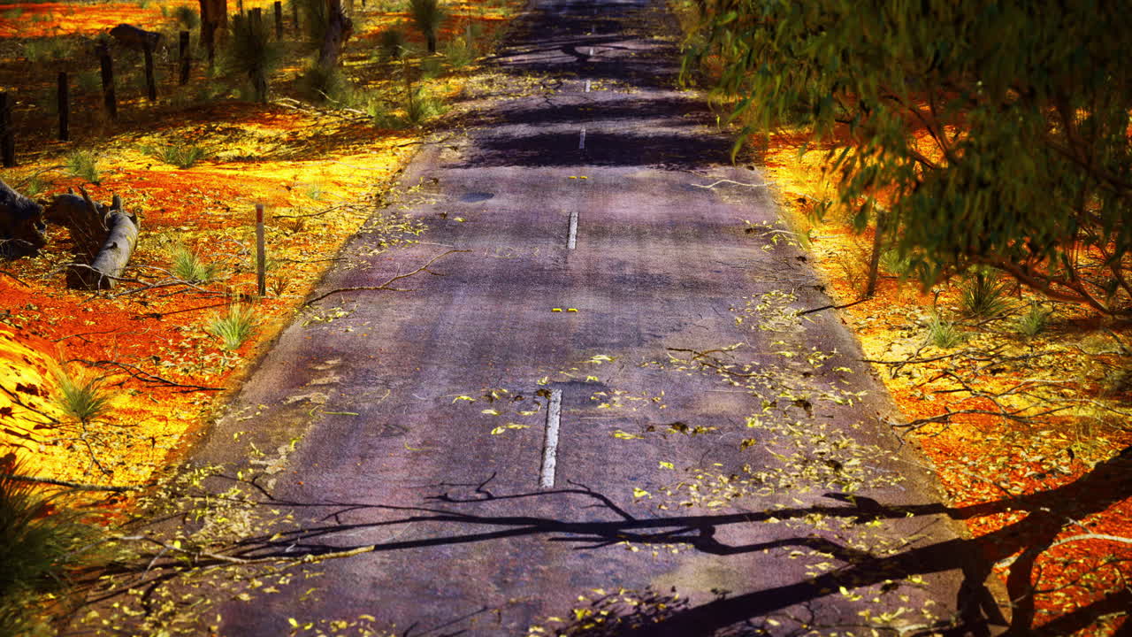 나무로 둘러싸인 황폐한 길을 보여주는 다채로운 가을 풍경