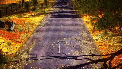 colorido paisaje de otoño que muestra una carretera desierta rodeada de árboles