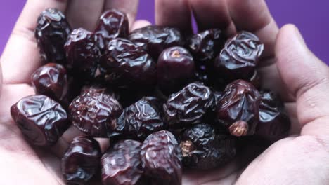 top view of date fruit on palm of hand